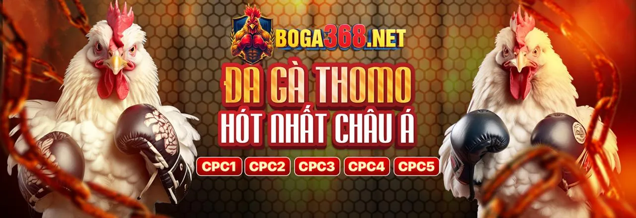 Đánh giá chuyên sâu về nền tảng 87win chính thức